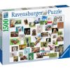 Ravensburger Puzzle 1500 pc Funny Animals Collage