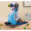LeanToys Maskotka Pluszowa Papuga Niebieska 20 cm