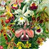 Cenega Publishing Puzzle Good Loot 1000 Imagination Ernst Haeckel Orchidea / Orchid