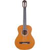 Arrow Calma 3/4 mat - Acoustic guitar