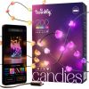 Twinkly Candies – 200 Lampki w kształcie serc RGB LEDs, zielony przewód, USB-C