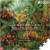 Cenega Publishing Imagination Puzzle: Ernst Haeckel Muscinae 1000 elements