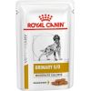 ROYAL CANIN Urinary S/O Moderate Calorie Wet dog food Chunks in sauce 12x100 g