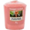 Yankee Candle The Last Paradise 49g