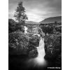 Ilford film Ortho Plus 120
