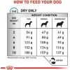 Royal Canin VHN Anallergenic Small Dogs - dry food for adult dogs - 3 kg