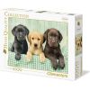 Clementoni 1000 EL. HQ Three Labs 39279
