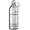 Montale Paris Montale Chypre Fruite EDP 100 ml
