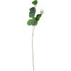 Artificial plant GREENLAND H73cm, eucalyptus