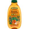 Garnier Botanic Therapy Kids / Lion King Shampoo & Detangler 400ml