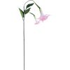 Artificial branch GREENLAND H90cm angel's trumpet