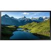 Monitor Samsung OH55A-S (LH55OHAOSGBXEN)