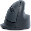 MOUSE USB OPTICAL WRL BASIC/R. GREY RGOHEBAMRWL R-GO TOOLS