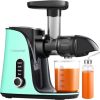 AMZCHEF GM3001-GN slow speed juicer (green)