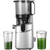 AMZCHEF SJ-036-SV slow speed juicer (silver)