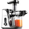 AMZCHEF GM3001-WT slow speed juicer (white)