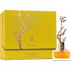 Aurora Aurora, Deciduous Autumn, Eau De Parfum, For Women, 100 ml For Women