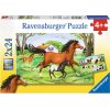 Ravensburger Puzzle 2x24 pc World of Horses