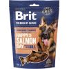 BRIT Premium Dog Snack Salmon with Dill – dog treat – 180 g