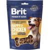 BRIT Premium Dog Snack Chicken with Raspberry - dog treat - 180g