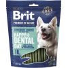 BRIT Premium Dog Snack Dental L - dog treat - 250g