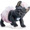 Piesek Lily Buldog Francuski 32cm