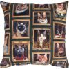 Pillow HOLLY 45x45cm, cats in a frame