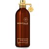Montale Paris Montale Aoud Musk Edp Spray 100 ml