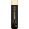 Sebastian Professional Dark Oil / Lightweight Shampoo 250ml