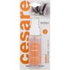 Mr&mrs Fragrance Cesare / Car Spray Perfume 50ml Energy