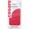 Mr&mrs Fragrance Cesare / Scented Card 1pc Pepper Mint