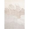 Carpet TOULOUSE-2, 160x230cm, beige/grey