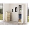 Top E Shop Topeshop R50 BIEL office bookcase