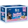 BRIT Premium by Nature Sterilised Plate pouches in sauce mix of flavors - wet food for cats - 12x85g