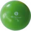 Weighted Ball SVELTUS 1,5kg D12,3cm Green