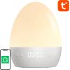 WiFi RGBW 16M Gosund LB2S Tuya smart night light