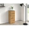 Top E Shop Topeshop W5 ARTISAN chest of drawers