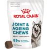 ROYAL CANIN Supplements Dog Joint & Ageing Adult - dog vitamins - 240g