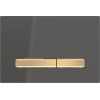 Geberit Sigma 50 Dual Flush Plate with Zinc Frame in PVD Brass