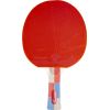 Galda tenisa raķete inSPORTline Shootfair S7
