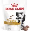 ROYAL CANIN Dog Urinary S/O Treats - dog treat - 230g