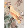 Kanvas 60x80 Yellow parrot