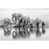 Foto glezna 120x80 Elephant 82225