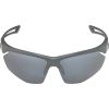 Okulary ALPINA NYLOS HR kolor MIDNIGHT-GREY MATT szkło SILVER MIRROR Cat.3 new 2025
