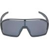 Okulary ALPINA BONFIRE kolor MIDNIGHT-GREY MATT szkło BLACK MIRROR Cat.3 FOGSTOP