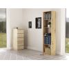 Top E Shop Topeshop R50 ARTISAN office bookcase