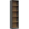 Top E Shop Topeshop R50 ANT/ART office bookcase