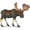 COLLECTA (L) Ziemeļamerikas alnis 88335