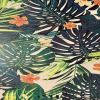Evelatus Universal  Ferns Colorful Film for Screen Cutter