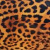 Evelatus Universal  Leopard Colorful Film for Screen Cutter